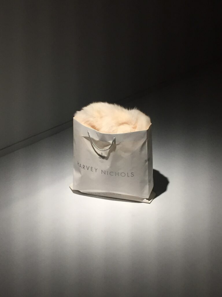 サイモン・フジワラ